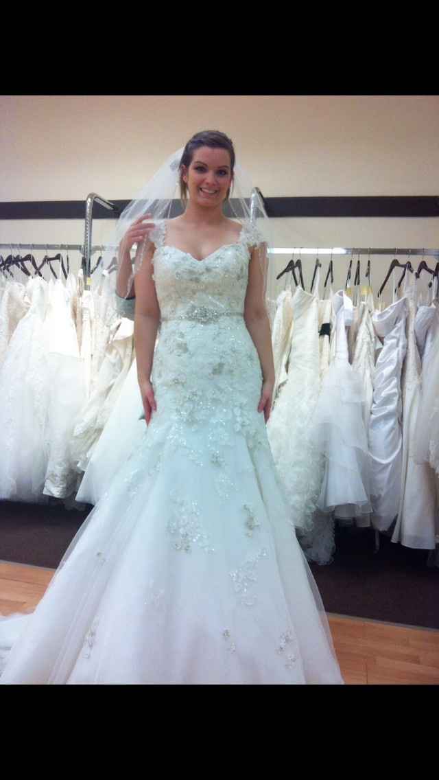 I FOUND MY DRESS!!!! (pics)