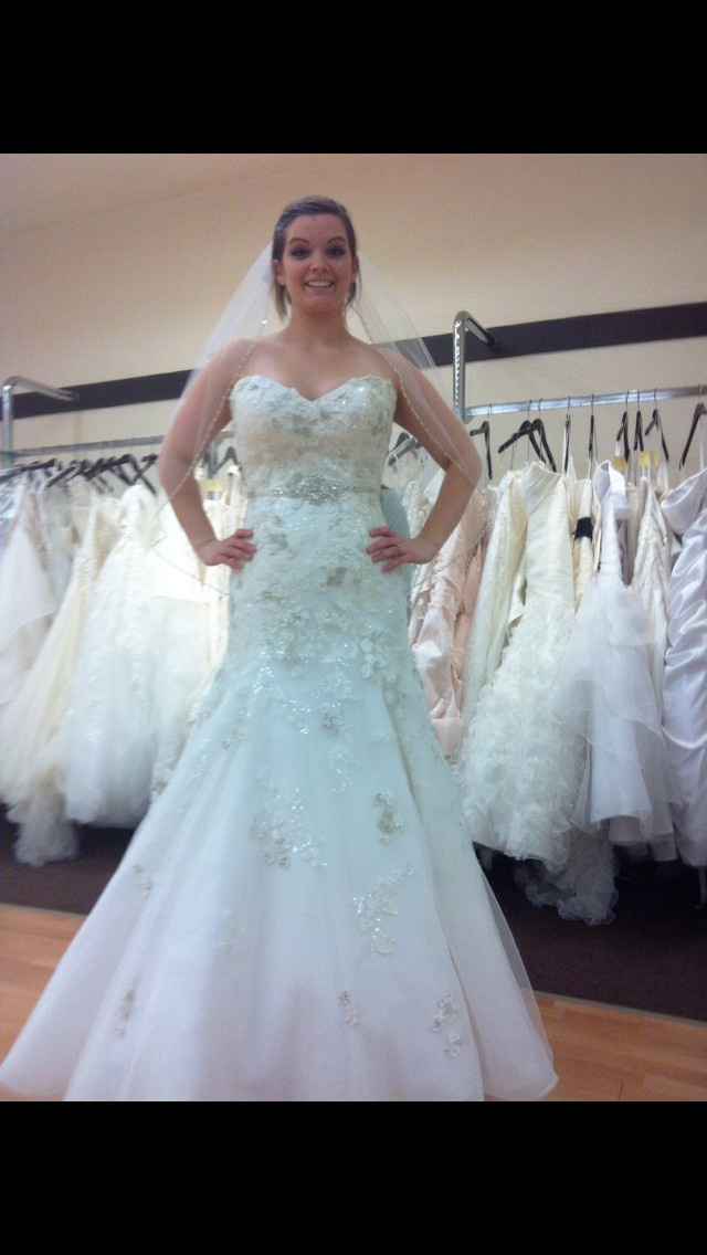 I FOUND MY DRESS!!!! (pics)