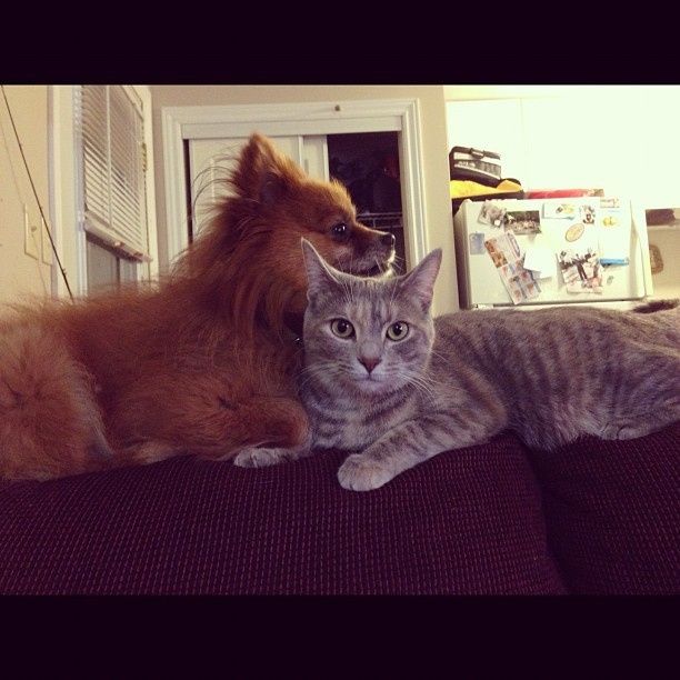 NWR: Fur Baby! :)