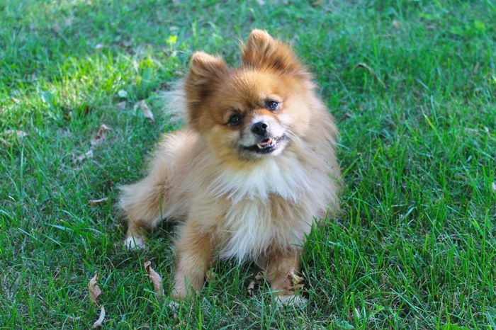 NWR: Fur Baby! :)