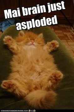 Calling all married ladies...