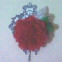 Practicing! Thx DIY Girls! *PICS*