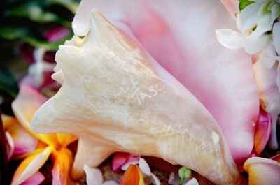 What is your unique touch to your wedding?