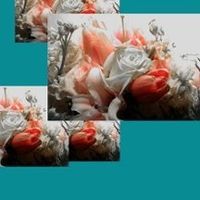 WHAT'S YOUR THEME? INCLUDING COLOR THEME? Explain it...