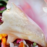 What is your unique touch to your wedding?