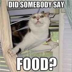 If you had to choose.... food!