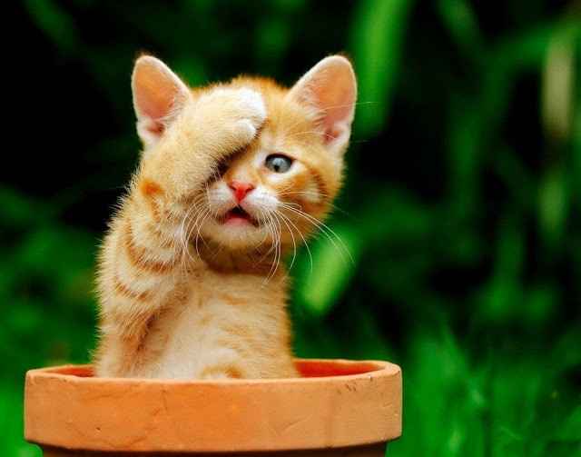 Nail Color for Engagement!! Eekk!