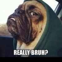 (Paging Celia) Suggestions needed - Rustic NJ Wedding on a Budget?