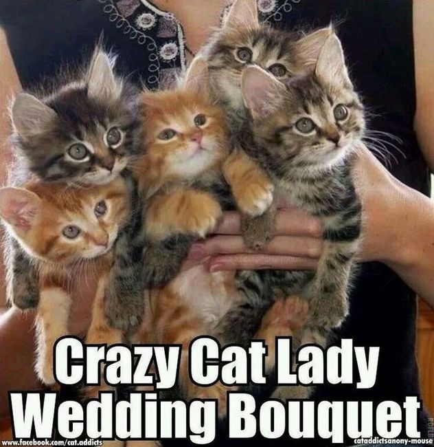I wasn't going to do a bouquet toss, but...