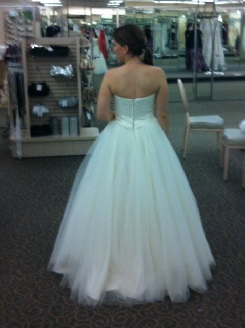Final dress fitting tonight! *UPDATE WITH PHOTOS!!!*