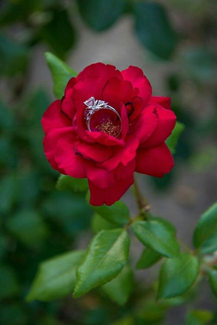 Engagement Pics Location Ideas