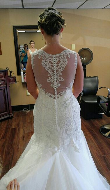 Veil or No Veil