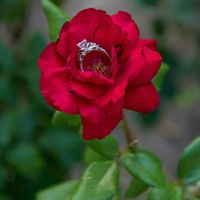 Engagement Pics Location Ideas