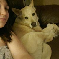 NWR: Name a weird/funny thing your pets do