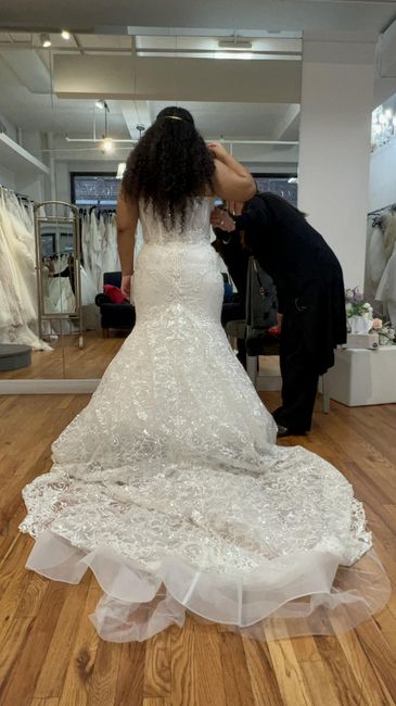 Mermaid Petticoat Suggestions Needed 1