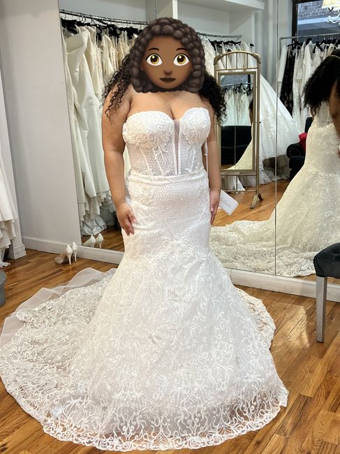 Mermaid Petticoat Suggestions Needed 3