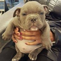 NWR today has been literal shit