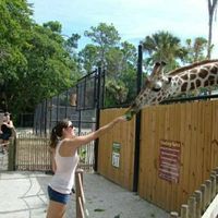 Engagement Outfit for Graffiti Park