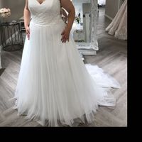  Wedding Dress Questioning - 1