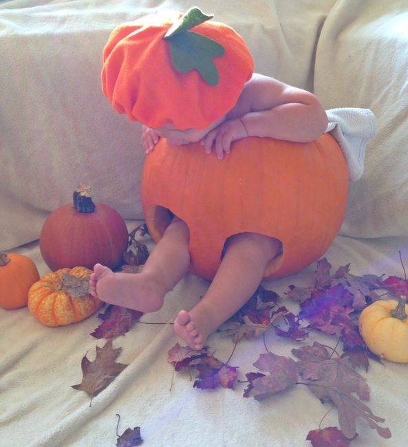 My assistant through planning .. Halloween edition