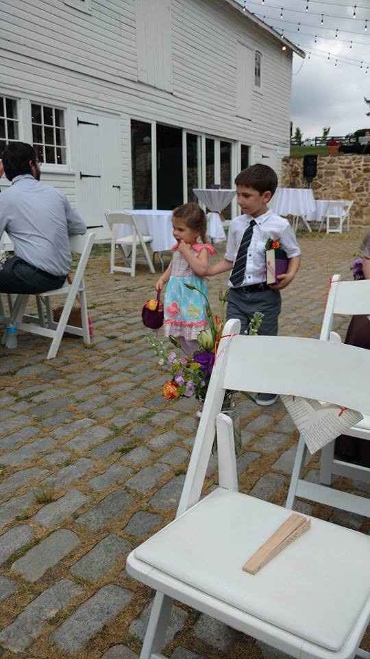 A Sylphier non-pro BAM