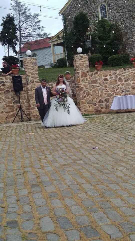 A Sylphier non-pro BAM