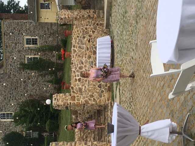 A Sylphier non-pro BAM