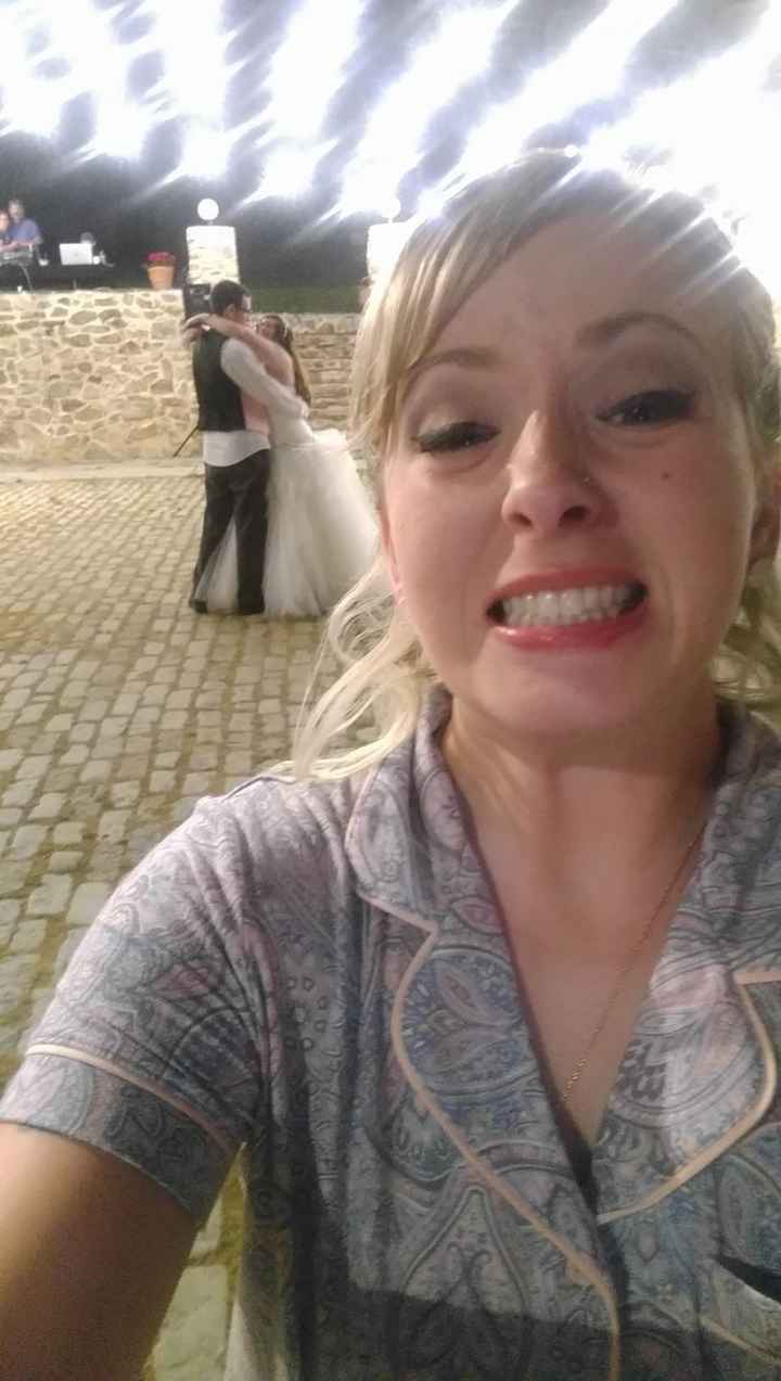 A Sylphier non-pro BAM