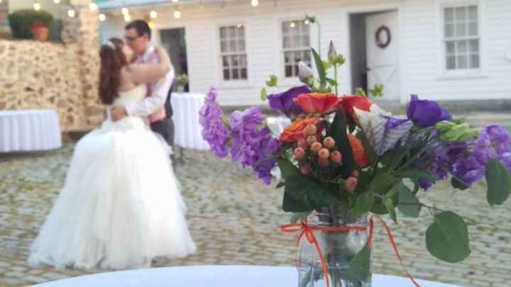 A Sylphier non-pro BAM