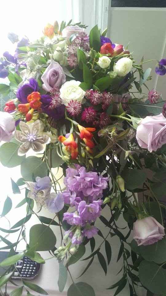 A Sylphier non-pro BAM