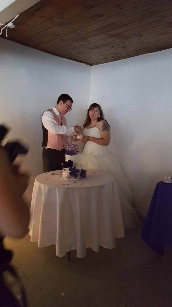 A Sylphier non-pro BAM