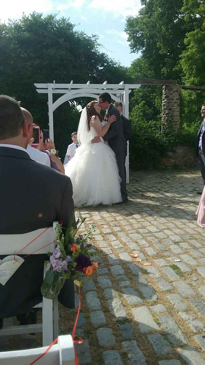 A Sylphier non-pro BAM