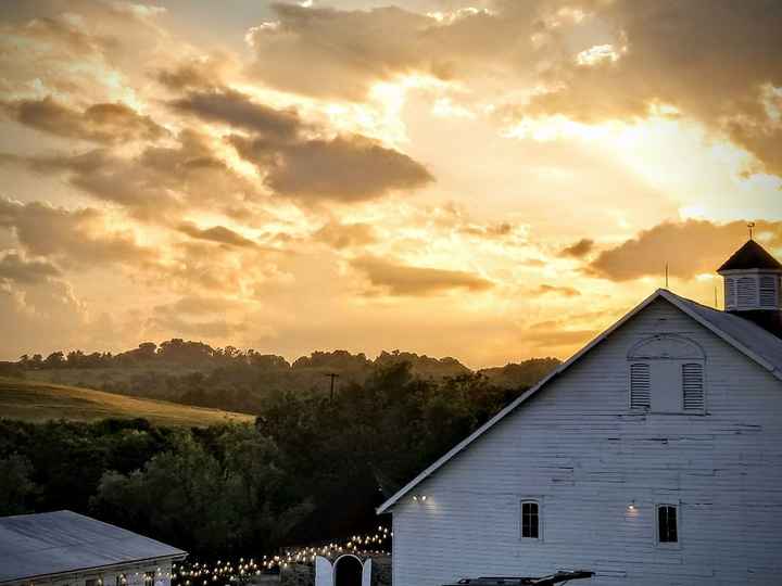 A Sylphier non-pro BAM