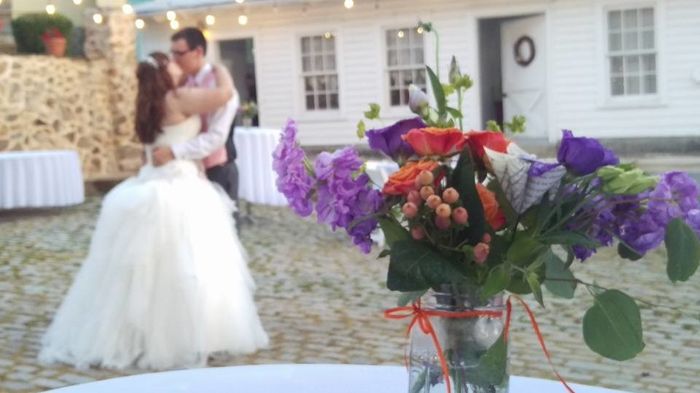 A Sylphier non-pro BAM