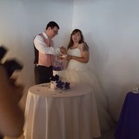 A Sylphier non-pro BAM