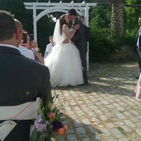 A Sylphier non-pro BAM