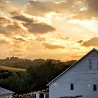 A Sylphier non-pro BAM