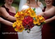 PRO PICS ARE IN!!!