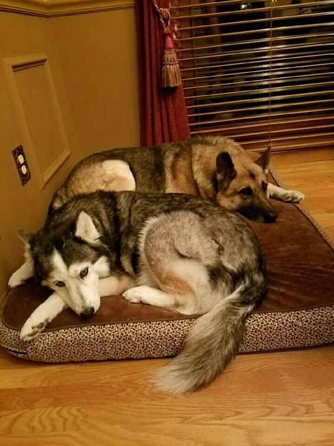 NWR: Show me your pups!