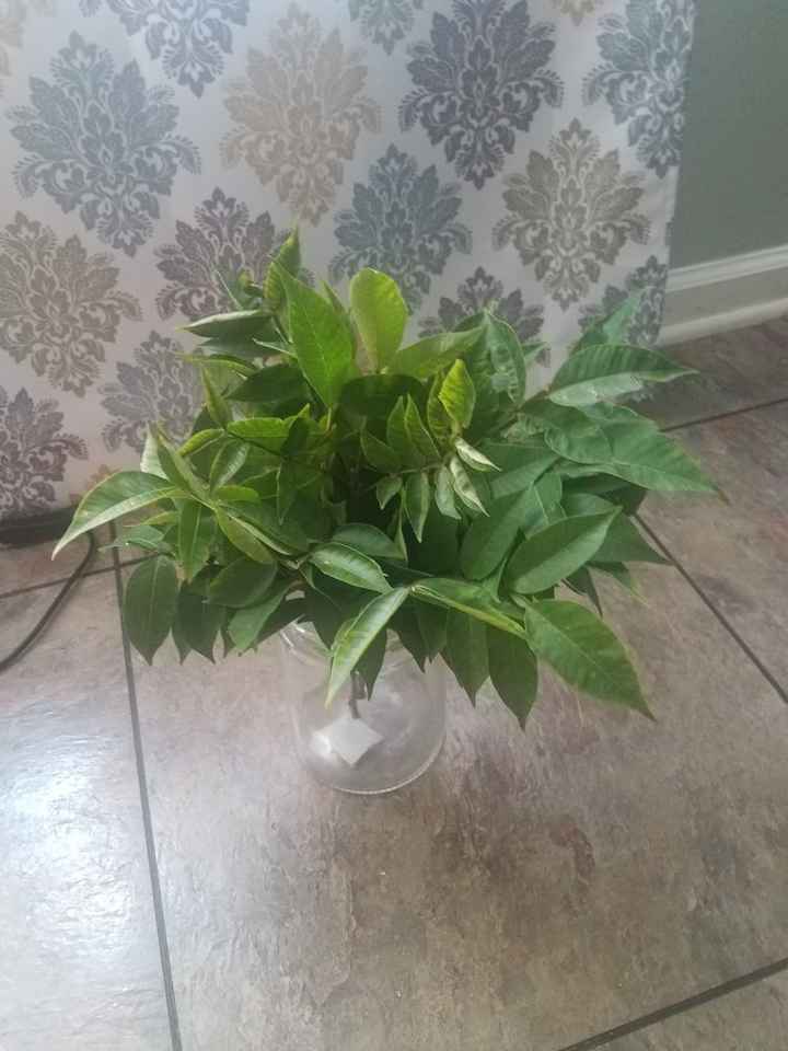 Bouquet from my garden? - 1