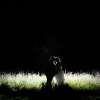 Pro BAM! Pic Heavy!!