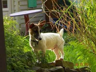 Adopted our 1st baby! (PICS)