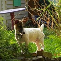 Adopted our 1st baby! (PICS)