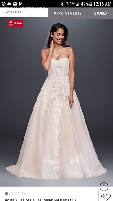This is my dress- what do you all think? - 1