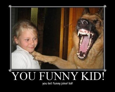 It's funny photo time!