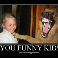 It's funny photo time!