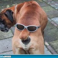 It's funny photo time!