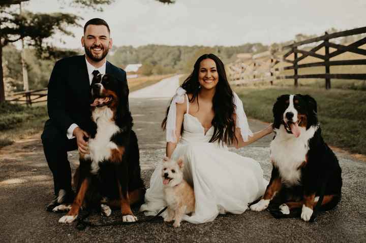 June 25, 26 & 27th weddings! - 1