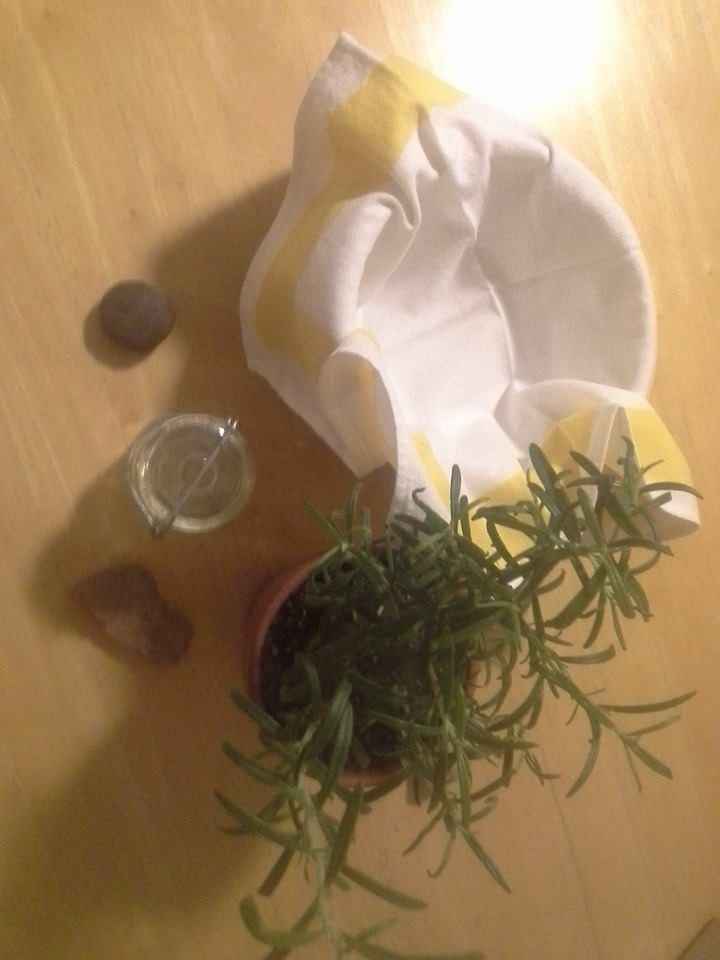 Centerpieces?  All tables the same or no?