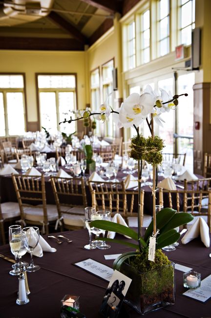 Latex-free silk flowers available?  Has anyone worked with downtown LA floral vendors?